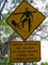 Stinger Warning, Daintree NP